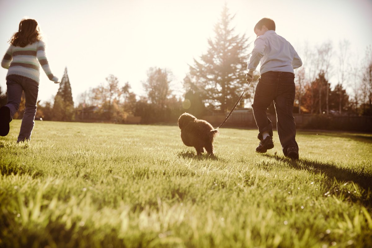 pettalkoregon's tweet photo. Dog training center @FortWags offers workshop to help #kids interact safely with #dogs. #PDX
https://t.co/1x2SZFJO9f https://t.co/RrKUyhItmo
