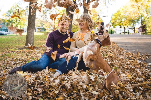 bestfriends's tweet photo. This dog perfectly photobombed his owners' engagement photos - and made our day! https://t.co/w1bvICsI2D ^MM https://t.co/JETEwG95xi