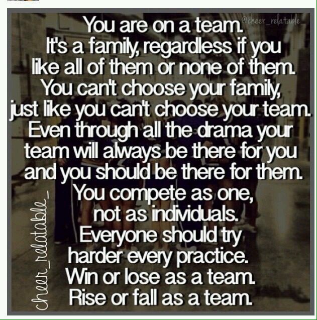 Sunderlandminis tweet picture