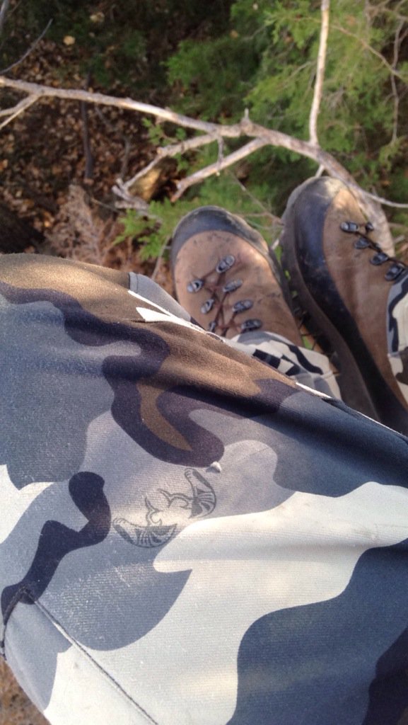 Dalton Prosser tweet media