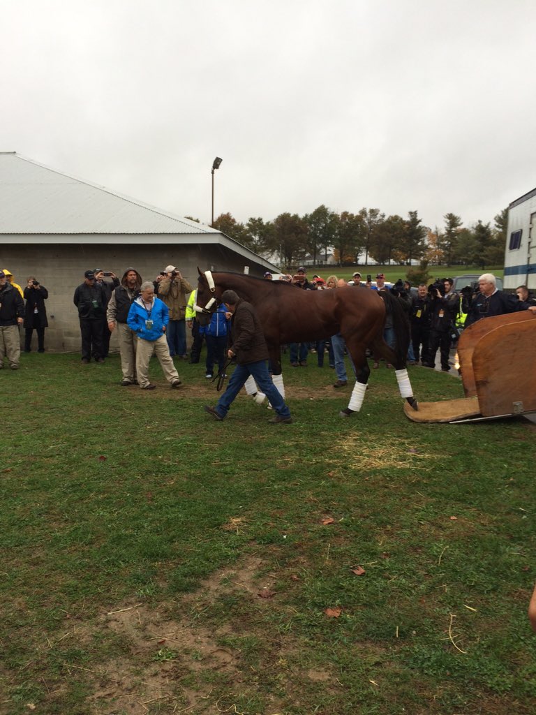 vincegabbert's tweet photo. So maybe all this planning is worth it after all. First triple crown winner to run in the BC Classic. https://t.co/3z8HSb741G