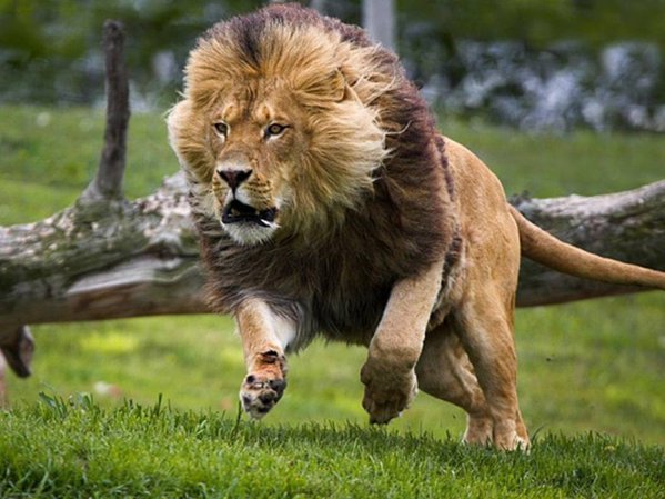PaisajeGeo's tweet photo. León https://t.co/djno2QQJfA