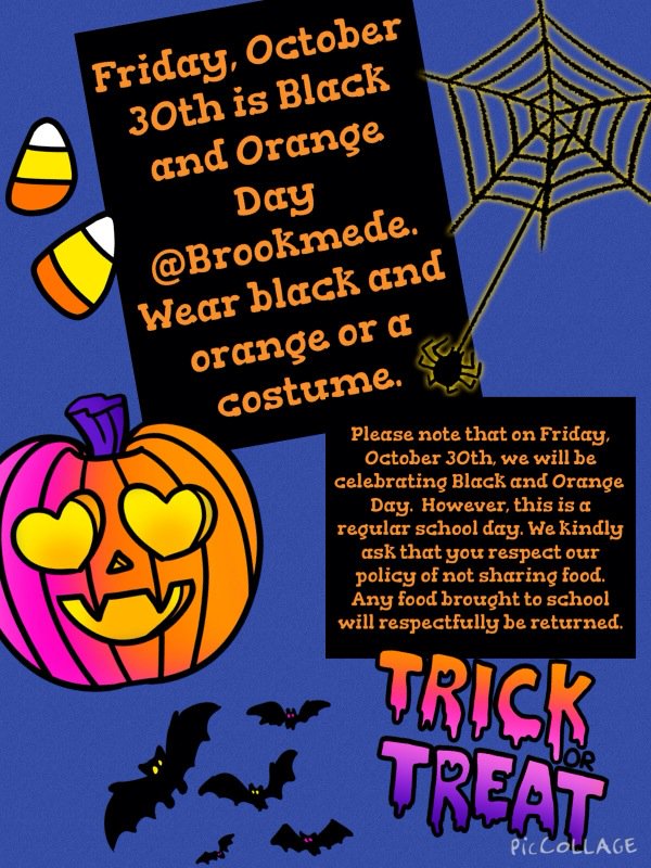 Brookmede P.S. tweet media