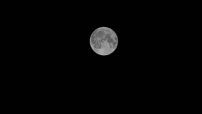 DresdenART's tweet photo. Schlaflos in Dresden? 
Vollmond über Dresden. 

Aufnahme: 22:54 Uhr MEZ 
#vollmond #supermoon #moon #dresden https://t.co/Nxgf1CUWqZ