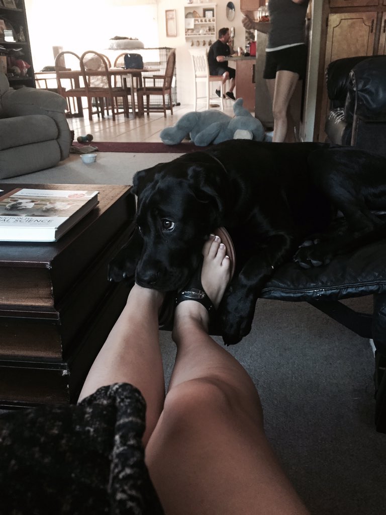 raerae2512's tweet photo. Someone wants to cuddle. https://t.co/H48oWTPcKF