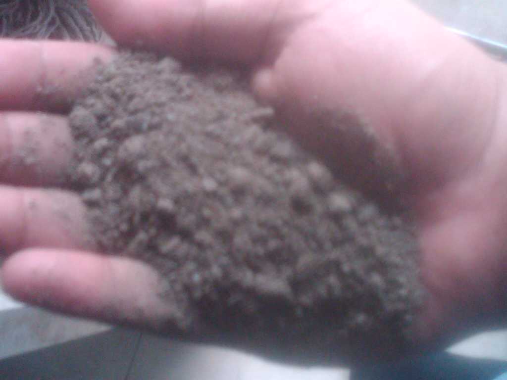 bayu rama nugraha (@bayuraman) on Twitter photo 