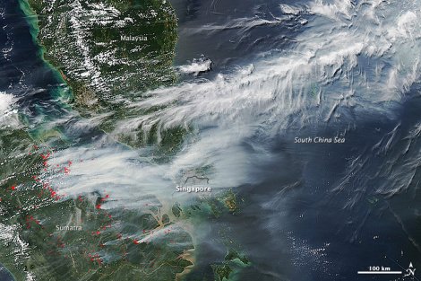 kheifa3's tweet photo. .@jokowi Ask ASEAN help to fight #forestfires. This is the biggest #EcologicalDisaster for decades #RForest https://t.co/lF5xStAl3r