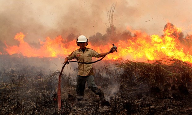 kheifa3's tweet photo. .@jokowi Meminta #ASEAN untuk bantuan memadamkan #kebakaran. Ini adalah bencana #ekologis terbesar #RForest https://t.co/EMR1HPuCj2