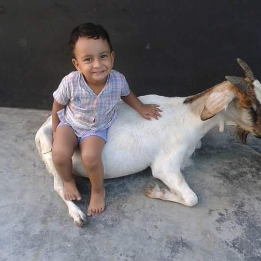 satulihossain's tweet photo. My cute cousin with a goat 😘😚���🙅💘💗💋 https://t.co/8SwI0CSH6l
