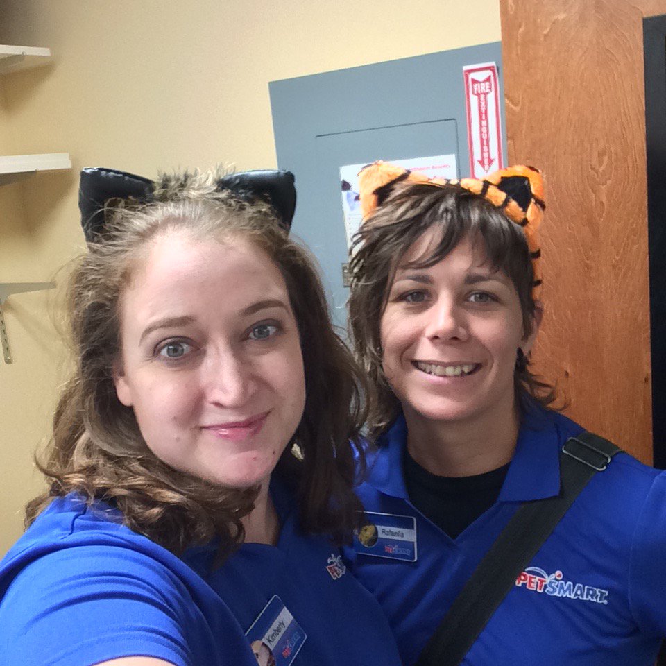 kaj7909's tweet photo. Getting ready for #NationalCatDay @DonnaDslack #austinpetm https://t.co/eiv7g3E4x3