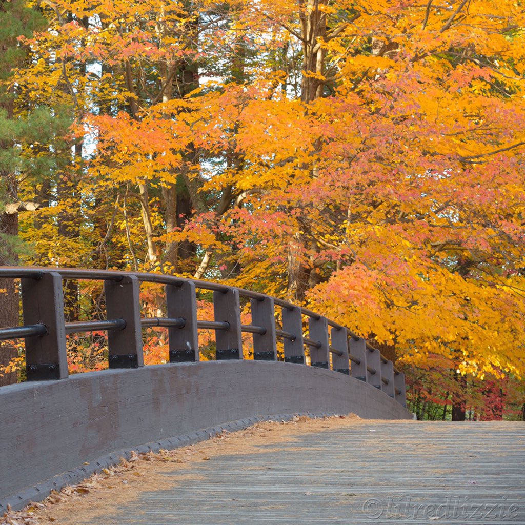 lilredlizzie's tweet photo. Over the bridge!π #Autumn #fall #foliage #minefallspark #Nashua #nh #photography #Canon #beautiful #pretty @VisitNH https://t.co/xtwJ4Gmctk
