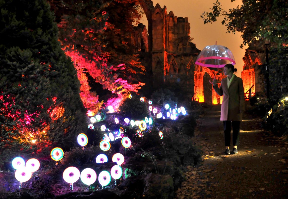 yorkpress's tweet photo. Illuminating York 2015: Spectacular photos from preview night https://t.co/ucp0rzP0aM https://t.co/fI1kcoNy5i