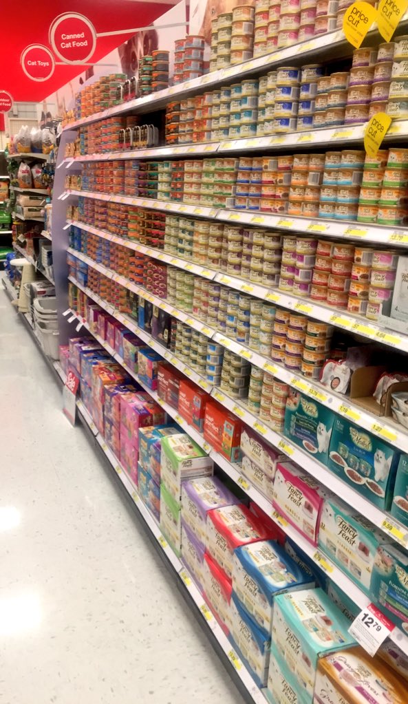 Target2151's tweet photo. Every cat has a face and ETL-GE Fabian is making sure they're being seen #KittyFacesForDays #BrandOnPoint 😺👌🏼 https://t.co/Ael4ruegwC