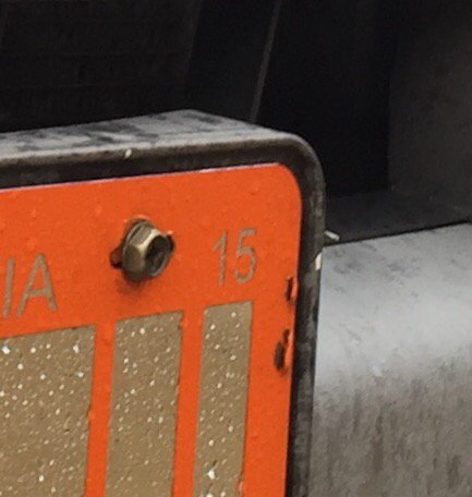 Brandonbot's tweet photo. I guess it's time for me to change my plates. #backtothefuture2015 https://t.co/DkrhbKGiq6