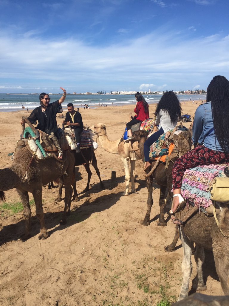 OGSGemma's tweet photo. Camel rides along the beach in the beautiful city of Essaouira 🐫🐫 https://t.co/8vDhvwDwBv