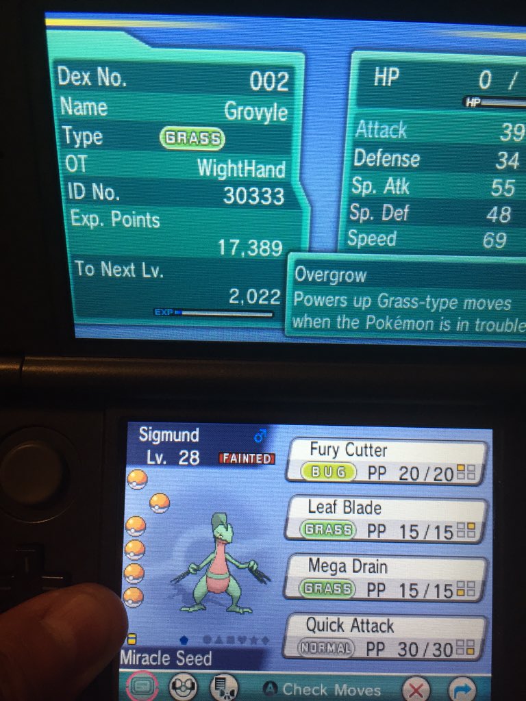 WightHand's tweet image. The worst has happened!!!! I really wanted to use sceptile!
