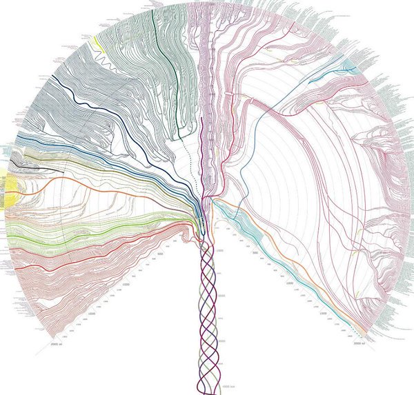 usefulcharts's tweet image. History of World Religions #treechart. Zoomable version here: ow.ly/TMlVv