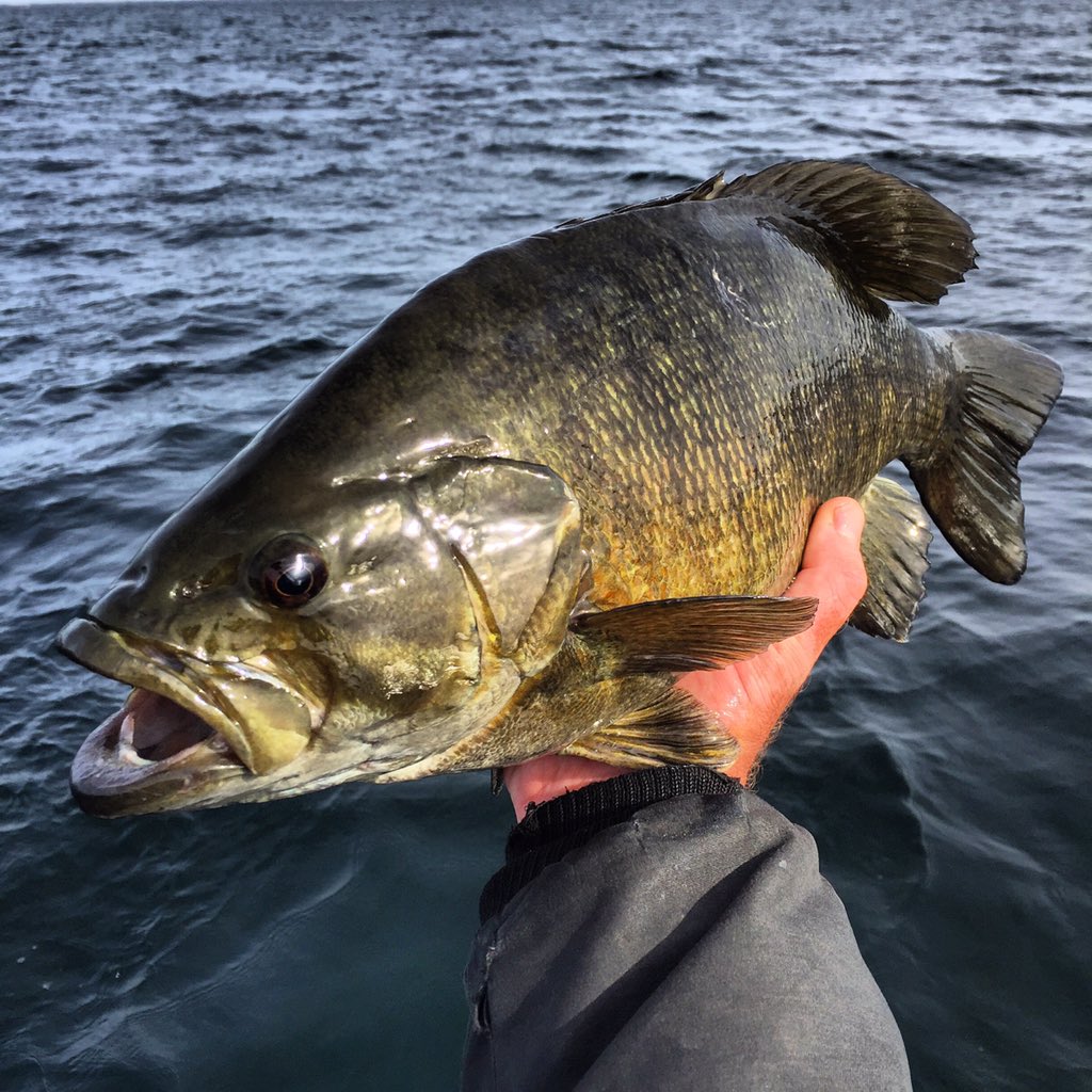 taro_murata100's tweet photo. Footballin'... #FISHCITYTOURS #fallies https://t.co/zI8flw18fk