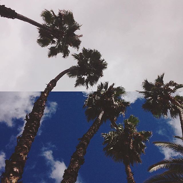 Johnny03219243's tweet photo. La🔜 https://t.co/dJaSohQ44i