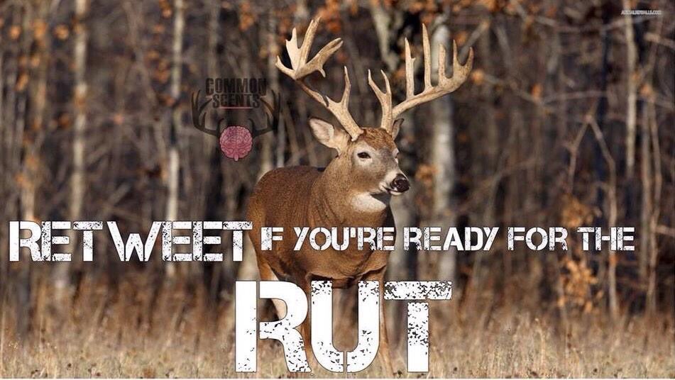 Deerhuntingprob's tweet photo. I know I am! https://t.co/BfWL5L6awz