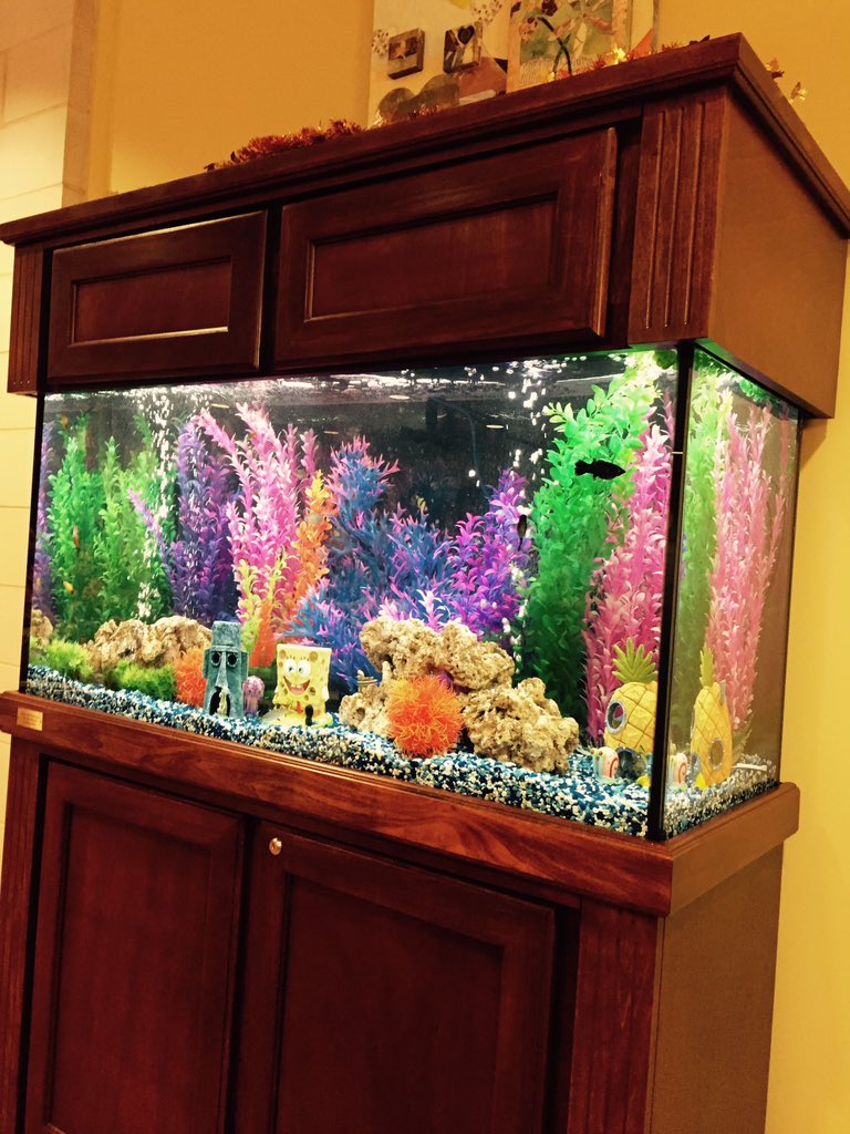 TomBreidenthal's tweet photo. Celebrating new aquarium @ Ronald McDonald @ Cincinnati Children's Hospital @diosohio this evening. https://t.co/dBs7j0XZ5U