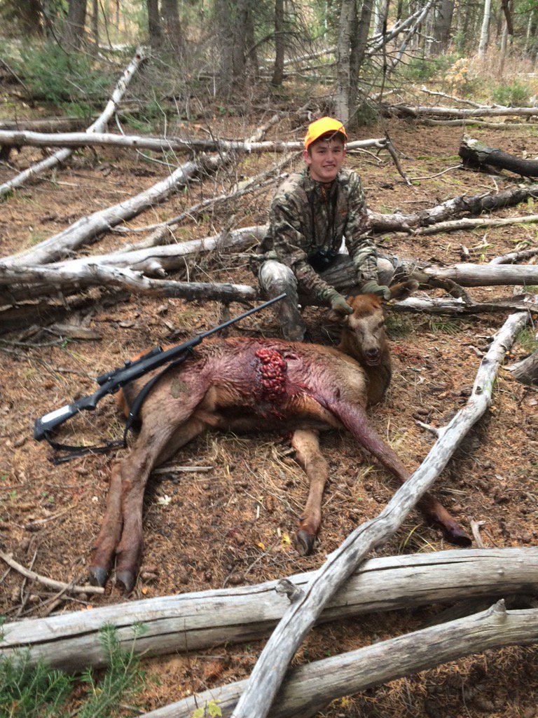 perick31's tweet photo. Shout out to my homeboy Royal getting it done this week with a big bull down https://t.co/mpXeSmjoNE
