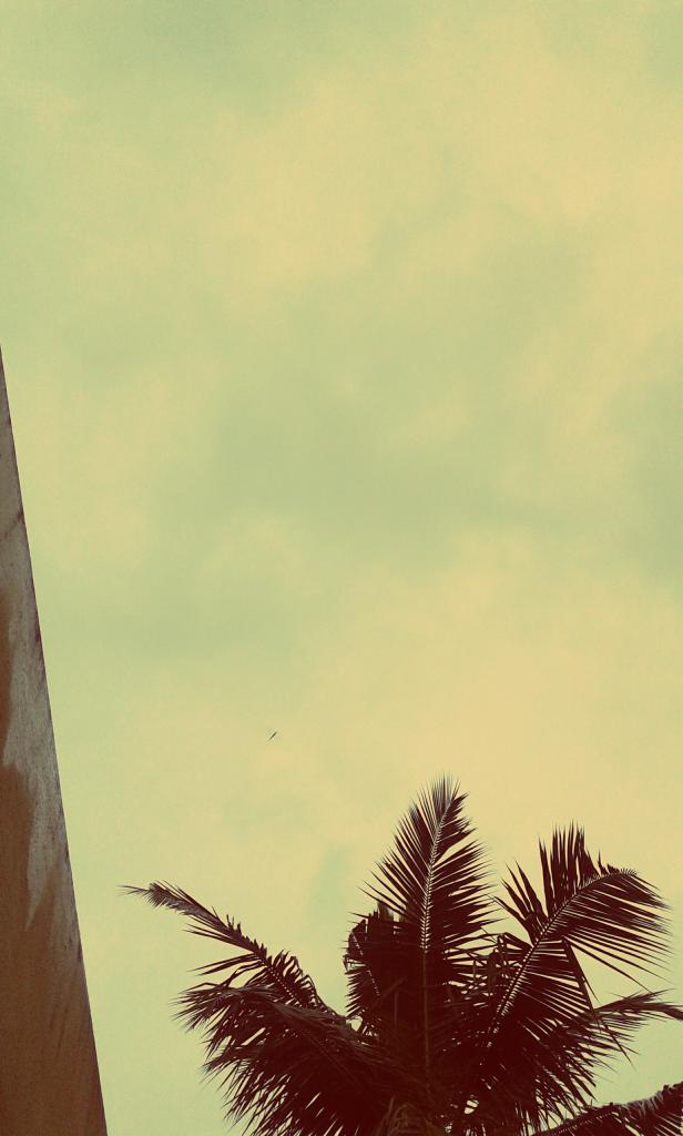 swebalu1907's tweet photo. #ChEnNaI .... Love to c dis climate evry day :) https://t.co/uL2XA9orxY