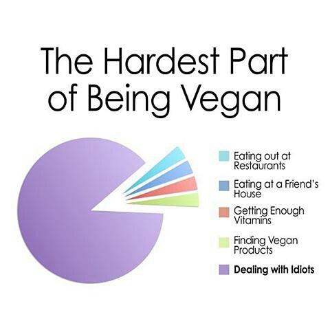 LydiaTeff's tweet photo. I'm not a #vegan but I totally understand this 😅😅. #Teff  is great for #vegans!!
#teff #Lydiateff #vegan #protein https://t.co/u30WWBqqhh