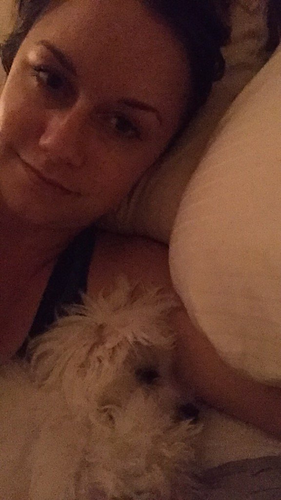 msmebaker's tweet photo. Cuddles with Mr. Biscuit 🐶💕 #maltepoolove https://t.co/pZl2TdhF07