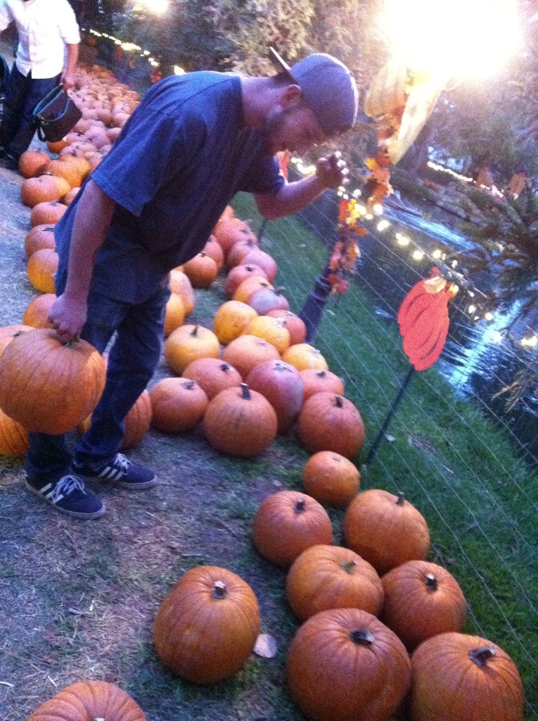 kaileymaeee's tweet photo. Pumpkin patchin it up🎃👻 @Zackfizzler searching for the best one😂👌 https://t.co/LvZpfsMgkX
