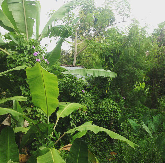 madebygypsy's tweet photo. Made it to paradise #Bali #bedtobeach #gypsy https://t.co/8en8vdST2L