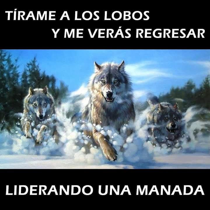eldesparche's tweet photo. La determinación y el compromiso hará que todos te sigan.

#soyrio #mlm #mlmlatino

Whatsapp +57 310 765 5818 https://t.co/3iZpYgDPs8