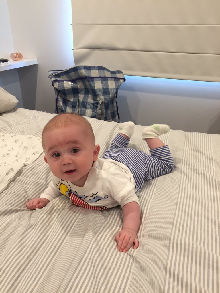 booksandlooks83's tweet photo. Max loves the new house! #newmama #movingoutoftown #movingonup https://t.co/gr9H2PVaZc