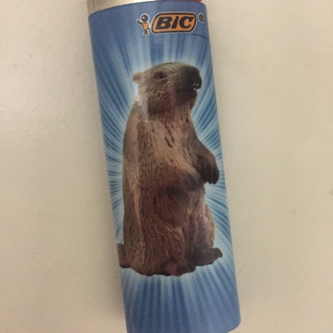 @cory_m113 happy day https://t.co/oh8Wh8xaPy<a class="tags" target="_blank" title="On Twitter" href="/?out=eyJ0eXAiOiJKV1QiLCJhbGciOiJIUzUxMiJ9.eyJpYXQiOjE3MjA3NjkzMzUsImlzcyI6InR3cG9ybnN0YXJzLmNvbSIsIm5iZiI6MTcyMDc2OTMzNSwiZXhwIjoxNzUyMzA1MzM1LCJyZWRpcmVjdF91cmwiOiJodHRwczovL3R3aXR0ZXIuY29tL2NvcnlfbTExMyJ9.8Yn5yEf0ayMm81_YNM4EmzLMYYDJAmdbJQ1TDPma_j3QR6oJi5n0ym8Dqe7FVQDhlk0Q4qSNG5biANDjsANW2w">@cory_m113</a><a href="/tag/justsaying"class="tags"><span>#justsaying</span></a><a href="/tag/hustler"class="tags"><span>#hustler</span></a><a href="/tag/tittytuesday"class="tags"><span>#tittytuesday</span></a>