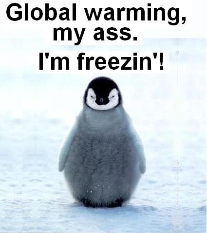 RubberDuckyCity's tweet photo. #LoveforPenguins https://t.co/8ggUuM1PeA