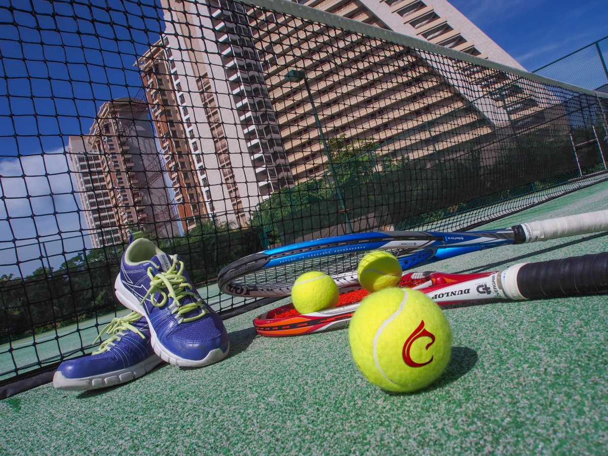 CentaraMirage's tweet photo. Whose up for a quick game? https://t.co/geTDagVqVL