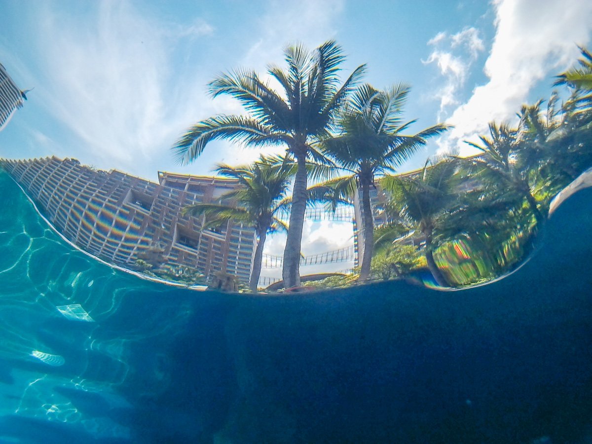 CentaraMirage's tweet photo. One of our many underwater view points , Centara Grand Mirage Beach Resort , Pattaya. https://t.co/Mf9iJXTHAK