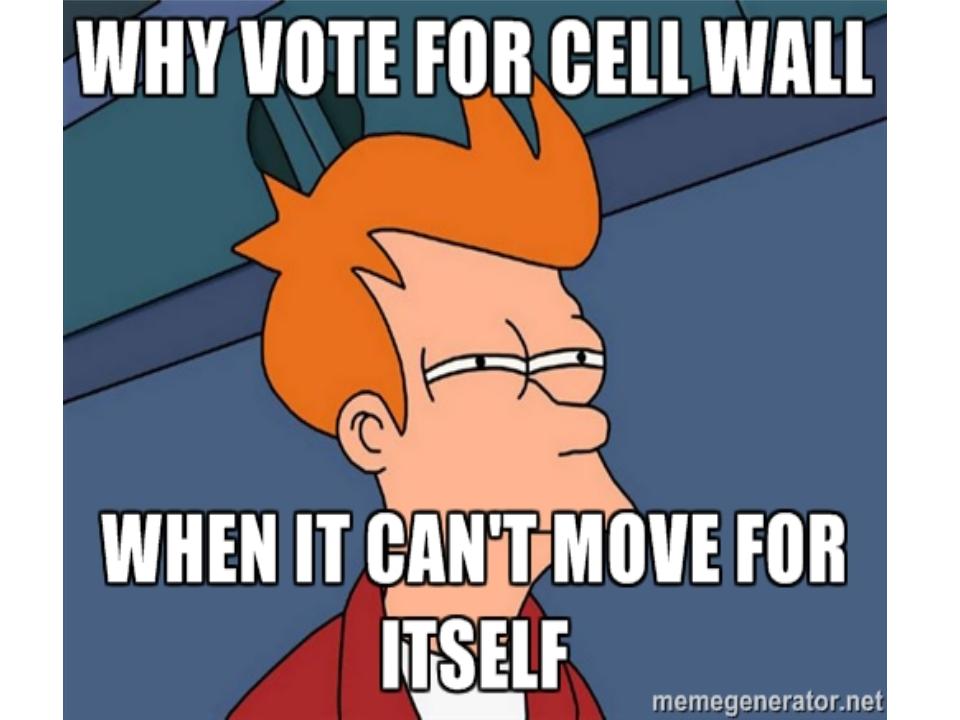 Chloro4Chief's tweet photo. The cell wall seems too stuck in its ways to be a leader. #WHSOrganelleInChief15 https://t.co/mtKPcAJPec