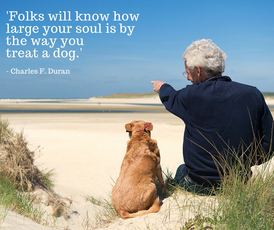 DMUphotoDavid's tweet photo. RT @petMD: 'Folks will know how large your soul is by the way you treat a dog.' #petmd #quoteoftheday https://t.co/vJh4CN9uMn