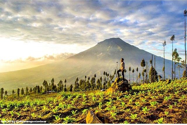 bookpanorama's tweet photo. Mampir ke wisata alam Posong di #Temanggung, ada pemandangan indah di kaki Gunung Sindoro. https://t.co/hslAhHlxK8 https://t.co/JXy6zrtnTC