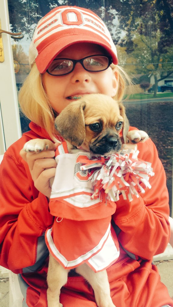wkyc's tweet photo. We want to see your pets in their Halloween costumes! Share your photos with us using #3Halloween https://t.co/Vbn3mkbEVL