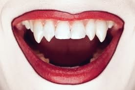 "Check it out! My fangs are growing again!" 👄👄👄