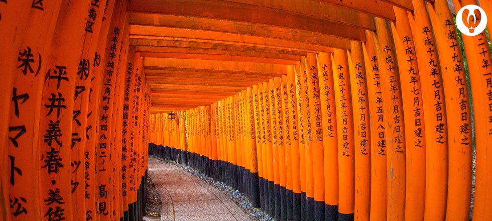 capcusid's tweet image. Torii Gates #Capcus #Liburan #Jalanjalan #Travel #TravelAdvice #RTW #Activity #Culture #Landscape #Kyoto #Jepang
