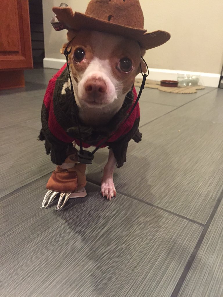 Jessbrnett's tweet photo. Scared? https://t.co/8TXqj0TquU