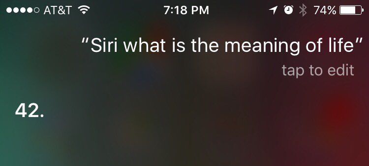 AllWrongPodcast's tweet photo. .@SiriouslySusan , the voice of Siri, is following the show?!?! We're flattered. Siri, what is the meaning of life? https://t.co/RMF0HOkZ4P