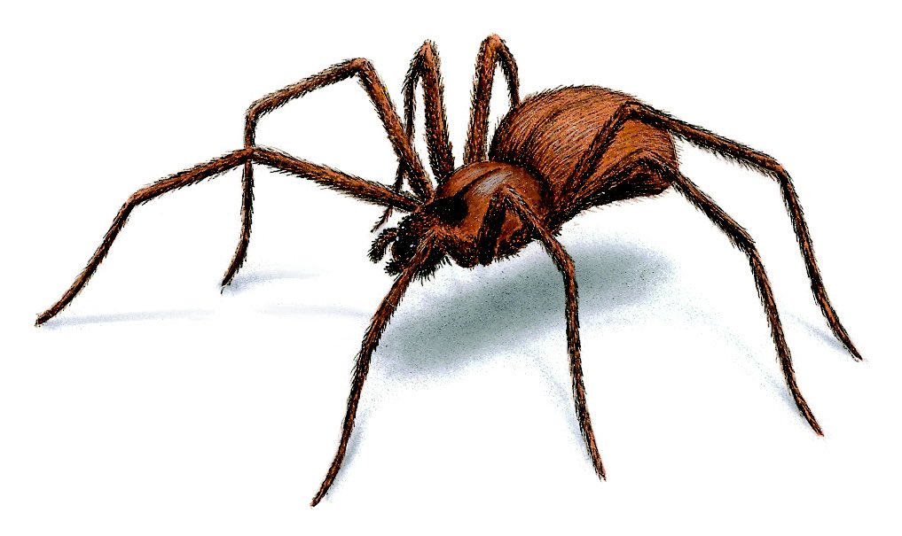 franbaconator's tweet photo. Also that the reasoners are like spiders, making cobwebs out of their own substance.  (And ugly) https://t.co/u7JYQiioDG