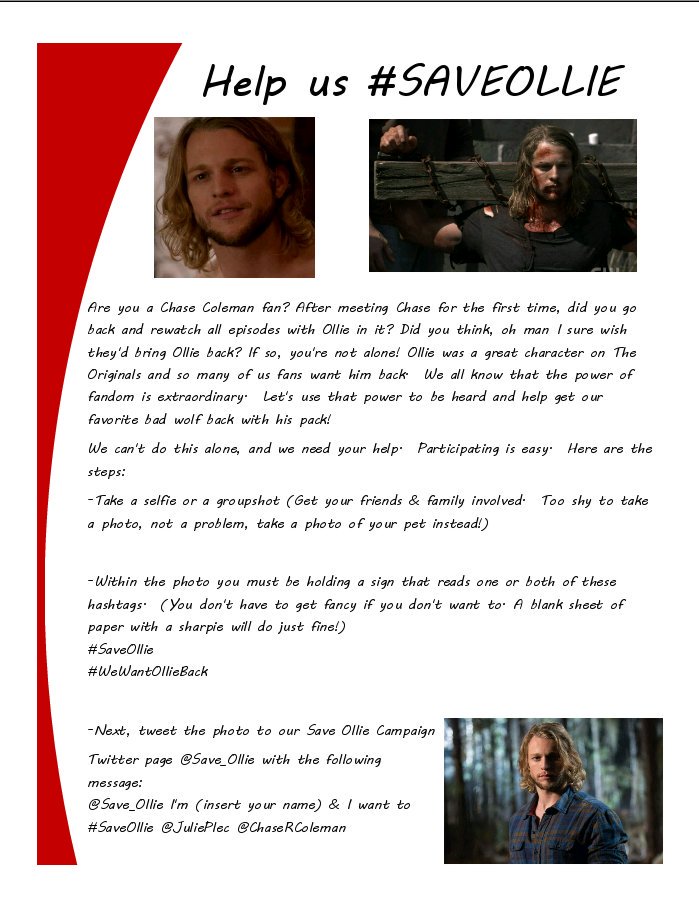 Save_Ollie's tweet photo. Hey Brazil dont 4get to tell the world that u want Ollie Back. @VampireAttract @ChaseRColeman #VampireAttraction2016 https://t.co/F7YcttTZFF