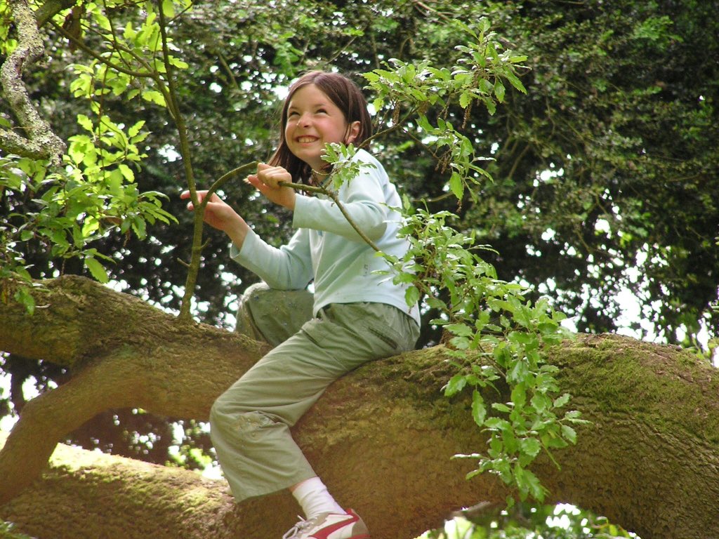 ConnieVickers's tweet photo. @MarthaJosie ITS MY BIRTHDAY! AND IM IN A TREE! Happy birthday marf. Be as happy as you are in this picture!! 🎉💥🚀 https://t.co/foZ56x0dia