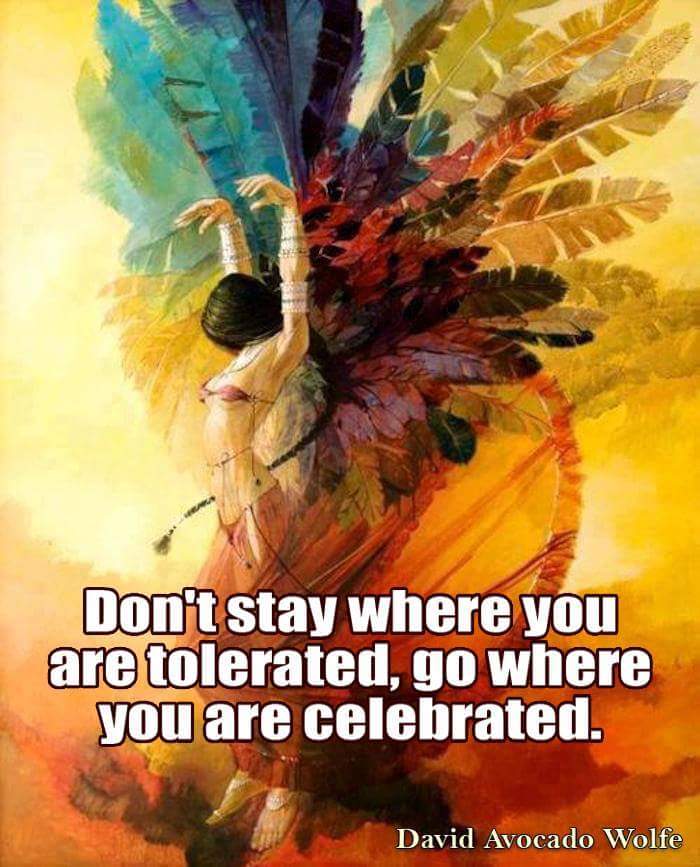magicdan60's tweet photo. I go where I am celebrated... #lifegoals #motivation #tipsforladies https://t.co/4aAKhHF54R