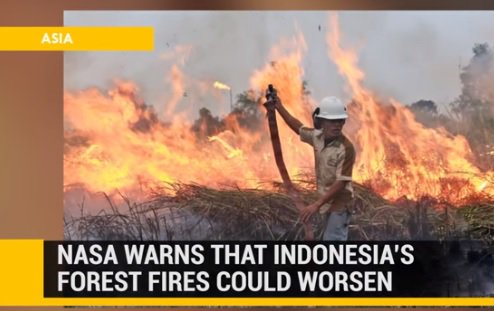dolphinval21's tweet photo. .@jokowi Membubarkan perusahaan2 yang membakar #hutan. KEJAHATAN TERHADAP KEMANUSIAAN. bit/ly/eajapan #RForest https://t.co/ShlkmPltMC